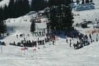 Skikurs Erwachsene Bild 1